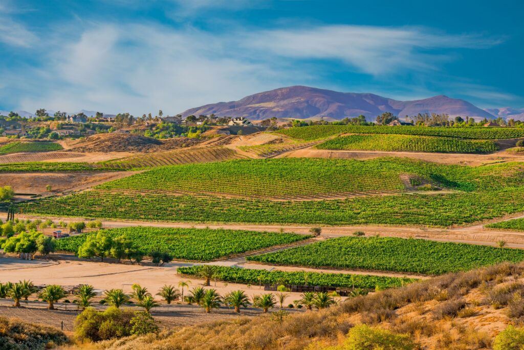 unarmed security services in temecula, ca